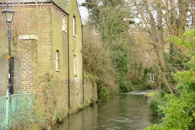 DSC_1336 (Large).JPG